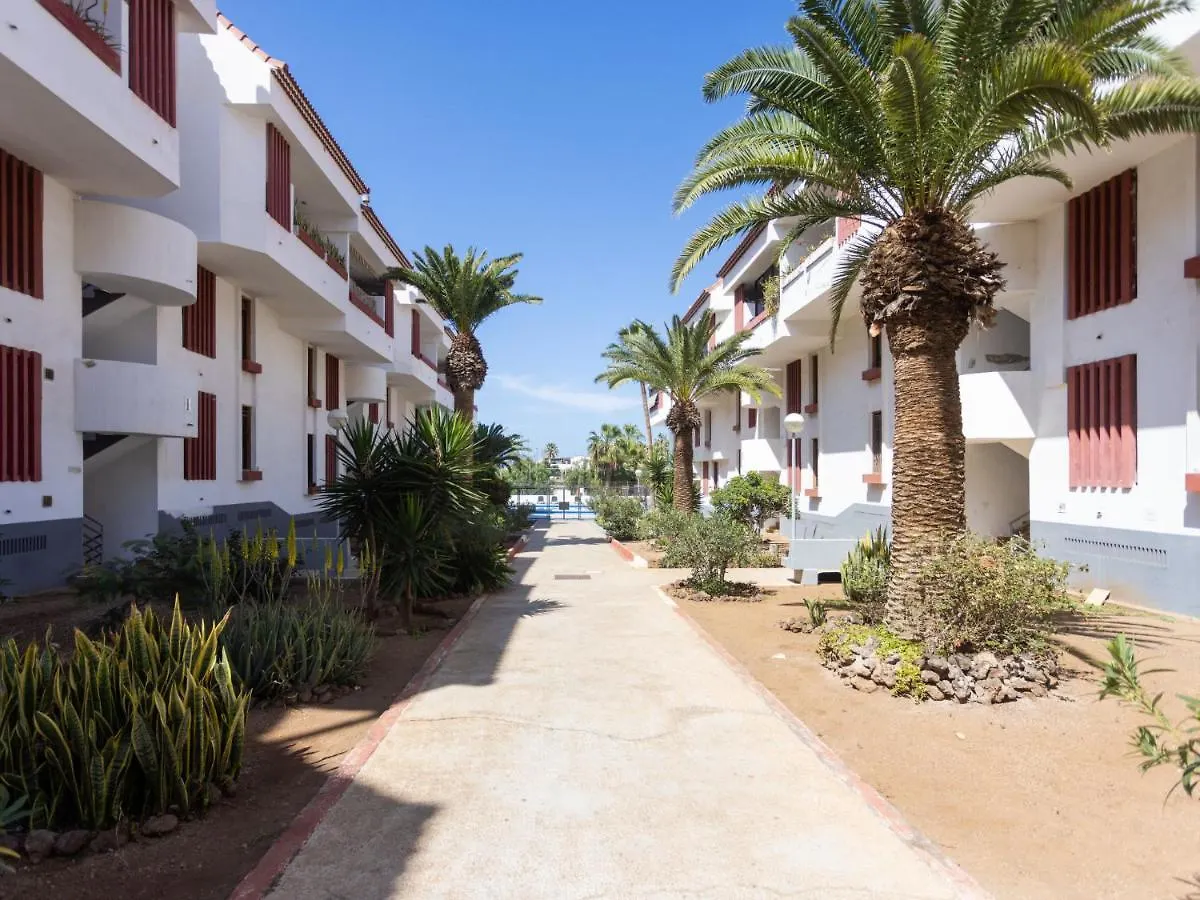Apartment Deluxe Altemar By Interhome Playa de las Americas   Playa de las Americas (Tenerife)